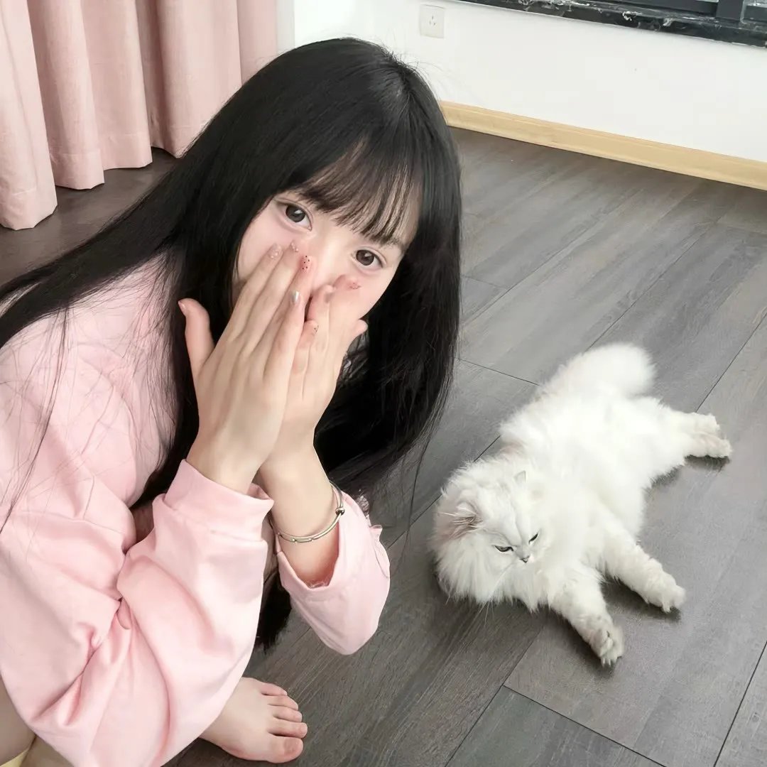 太空黑猩猩