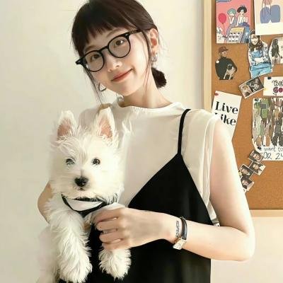 完美琴仇